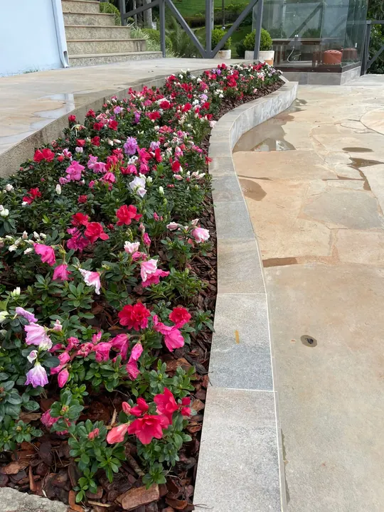 Canteiro curvo com flores cor-de-rosa junto a caminho de pedra