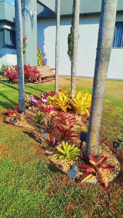 Canteiro tropical colorido com bromélias ao redor de palmeiras