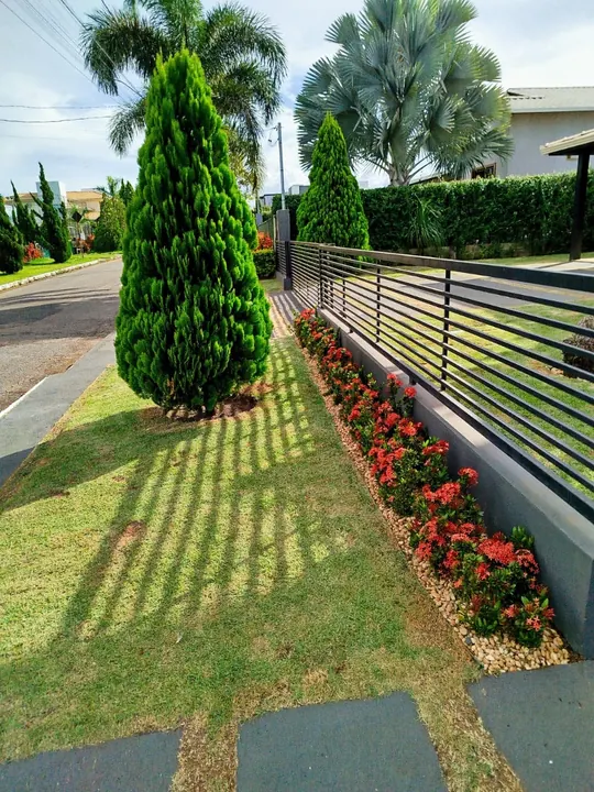 Jardim frontal com cerca viva, flores vermelhas e conífera