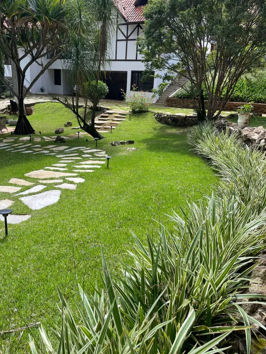 Jardim residencial com caminho de pedras e gramado em Belo Horizonte