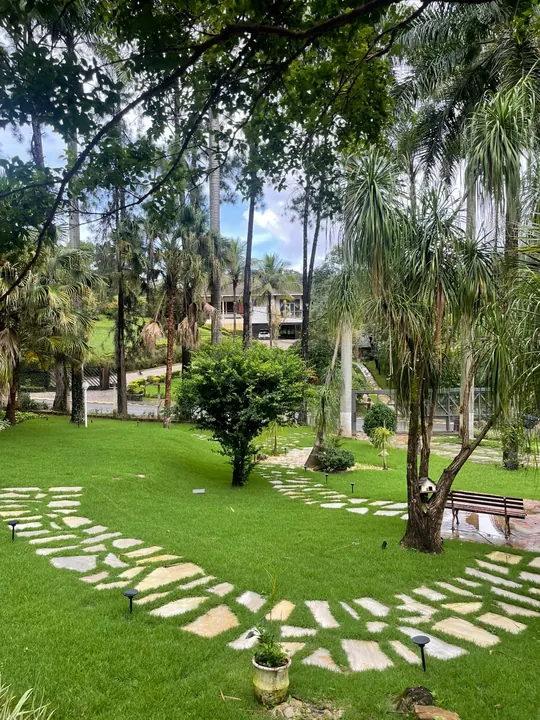 Jardim residencial amplo com palmeiras e gramado