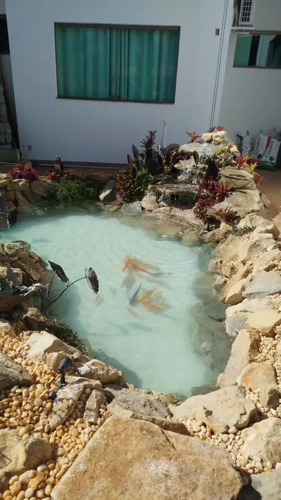 Lago ornamental com carpas e acabamento em rochas