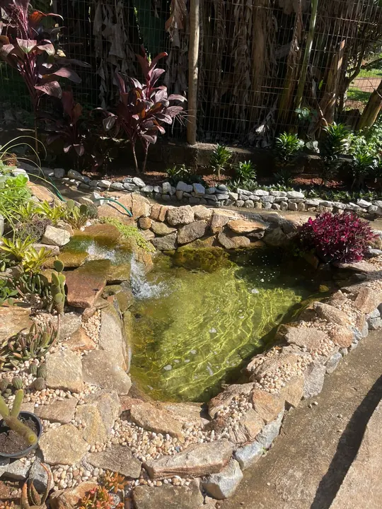Lago ornamental pronto em jardim tropical