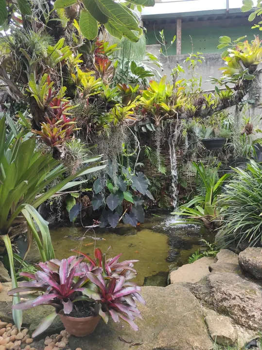 Lago ornamental junto a jardim vertical tropical