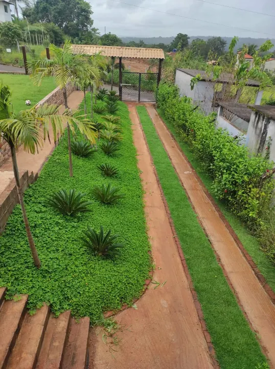 Área externa com palmeiras e composição paisagística linear
