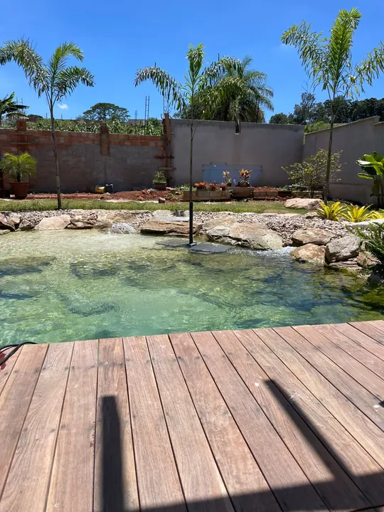 Piscina natural integrada a deck de madeira e jardim