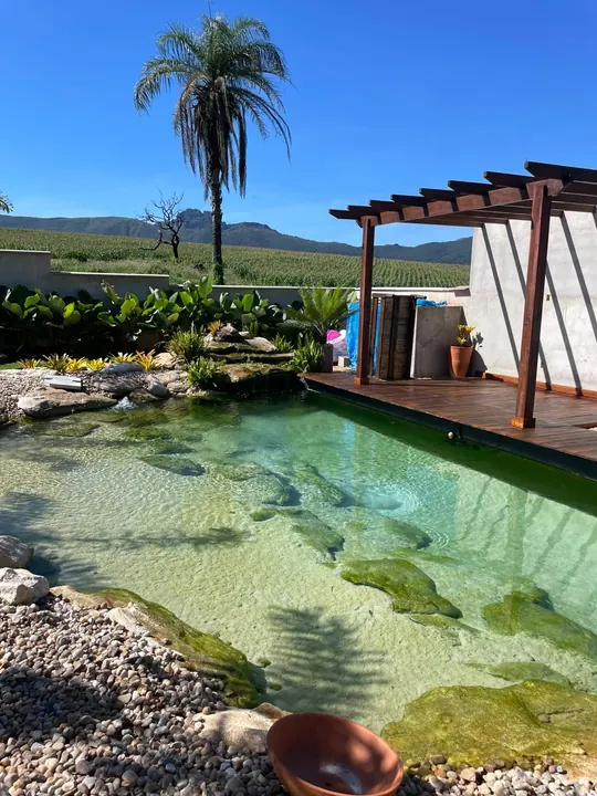 Piscina natural com revestimento em pedras e pergolado de madeira